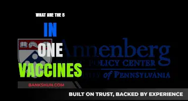 Understanding the Benefits of 5-in-1 Vaccines for Comprehensive Protection