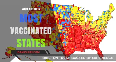 Top Vaccinated States: Leading the Way in Immunization Efforts