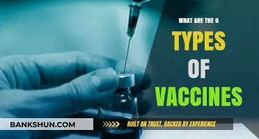 Exploring the Six Primary Types of Vaccines and Their Uses