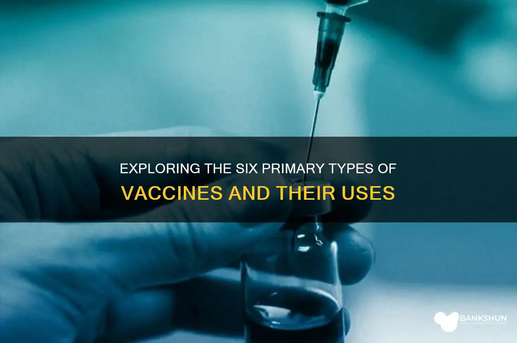 what are the 6 types of vaccines