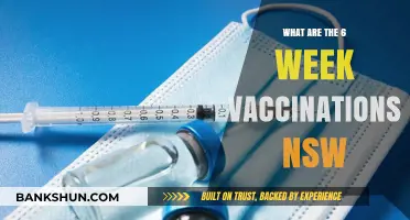 NSW 6-Week Vaccinations: Essential Immunisations for Your Baby's Health