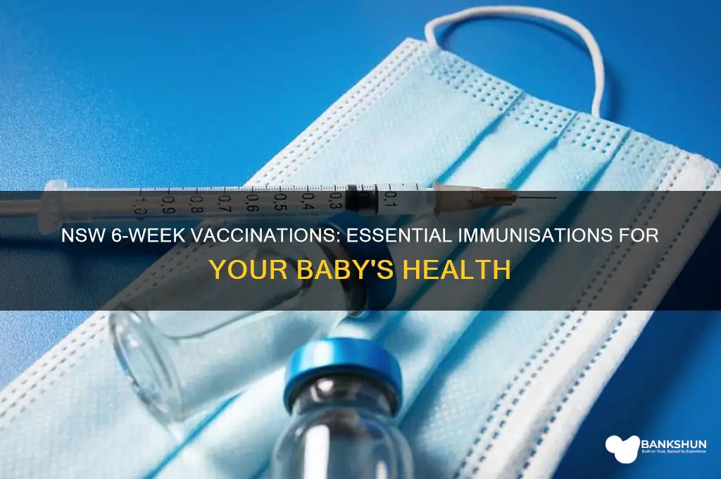 what are the 6 week vaccinations nsw