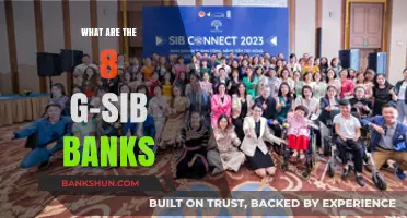 Global Systemically Important Banks: Unveiling the 8 G-SIBs