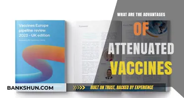 Attenuated Vaccines: Key Benefits for Long-Term Immunity and Safety