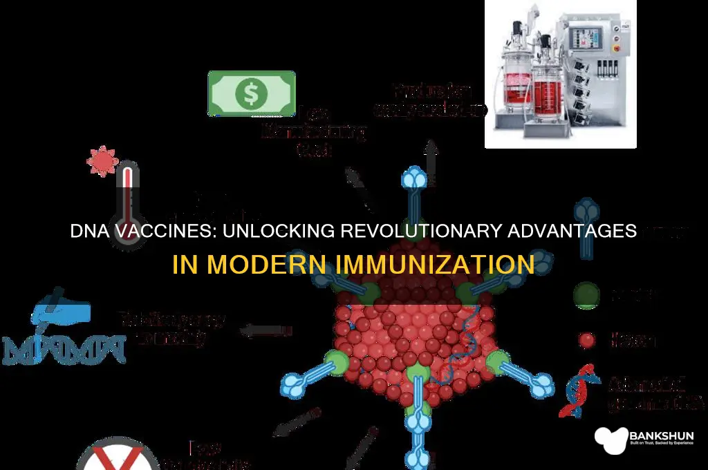 what are the advantages of dna vaccines