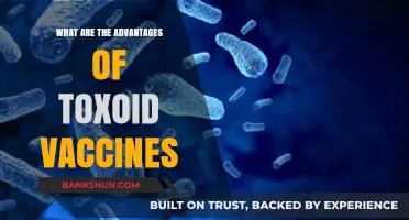 Toxoid Vaccines: Unlocking Long-Term Immunity and Disease Prevention Benefits