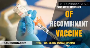 Recombinant Vaccines: Unlocking Precision, Safety, and Global Health Benefits