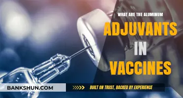 Understanding Aluminum Adjuvants in Vaccines: Safety, Role, and Common Concerns