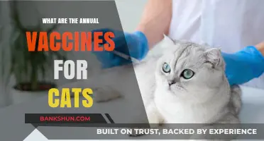Essential Annual Vaccines for Cats: Protecting Your Feline's Health Yearly