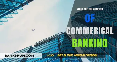 Key Assets Driving Success in Commercial Banking Operations