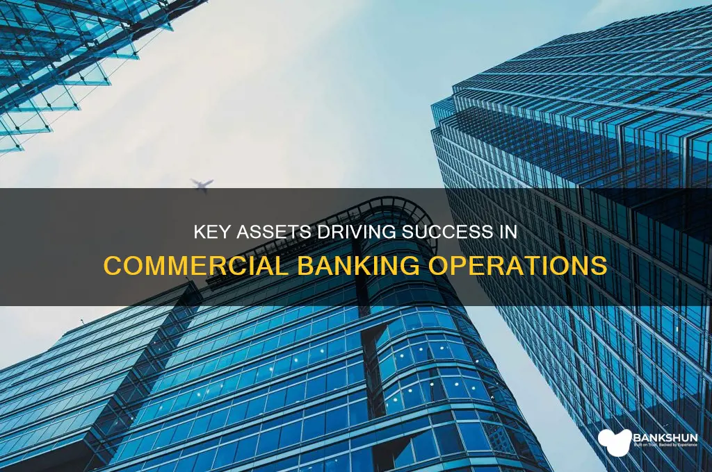 what are the assests of commerical banking