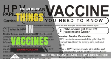 Unveiling Vaccine Concerns: Potential Risks and Misconceptions Explored
