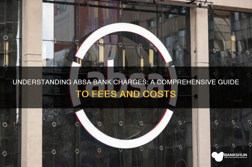 what are the bank charges at absa