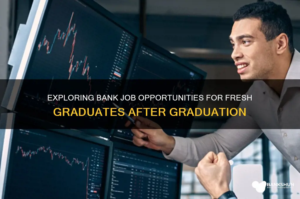 what are the bank jobs after graduation