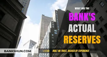 Understanding Bank Reserves: Unveiling the Actual Financial Cushion