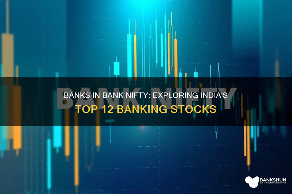 what are the banks in bank nifty