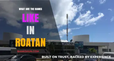 Exploring Roatan's Banking System: Services, Accessibility, and Local Insights