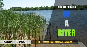 Understanding the Vital Role of River Banks in Ecosystems and Geography