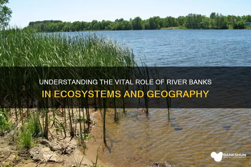 what are the banks of a river