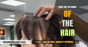 Understanding the Banks of the Hair: Definition, Purpose, and Styling Tips