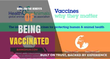 Vaccination Benefits: Protecting Health, Saving Lives, and Strengthening Communities