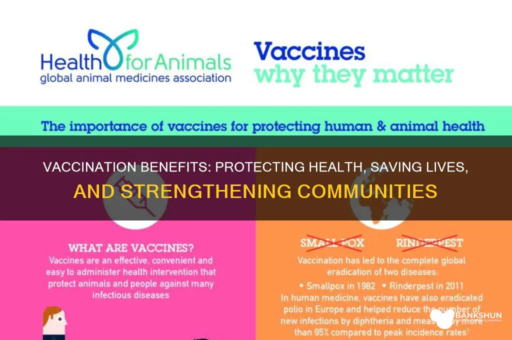 what are the benefits of being vaccinated