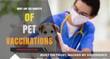 Protecting Your Pet: The Lifesaving Benefits of Vaccinations