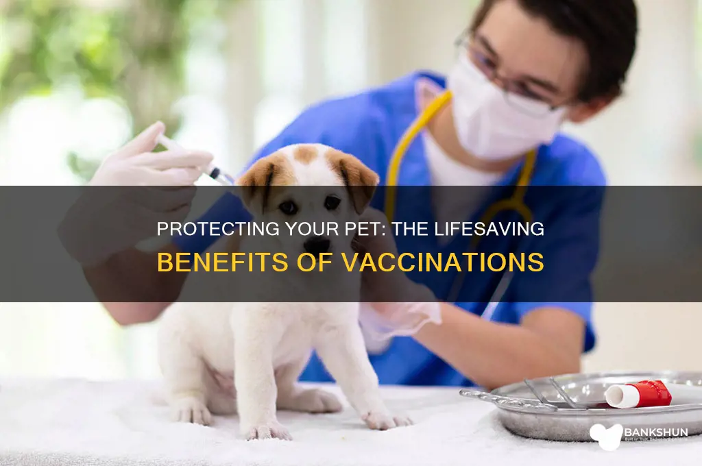 what are the benefits of pet vaccinations