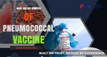 Protecting Against Pneumonia: Key Benefits of the Pneumococcal Vaccine