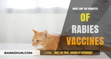 Rabies Vaccines: Essential Benefits for Human and Animal Health