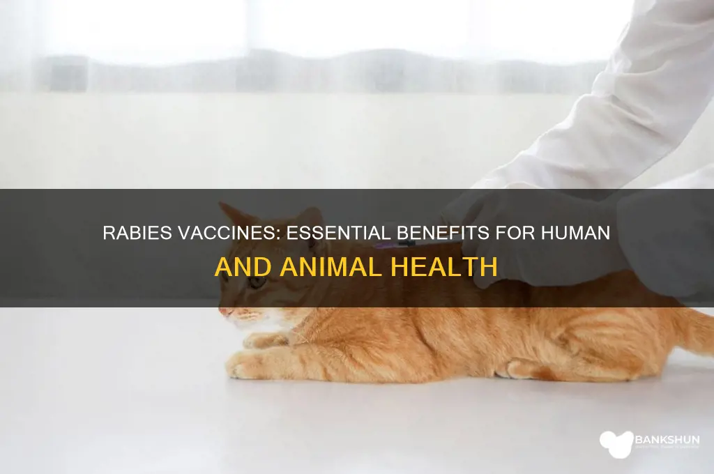 what are the benefits of rabies vaccines