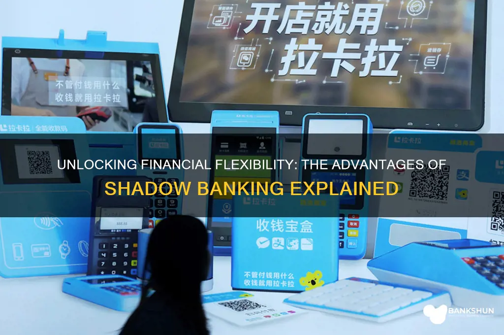 what are the benefits of shadow banking