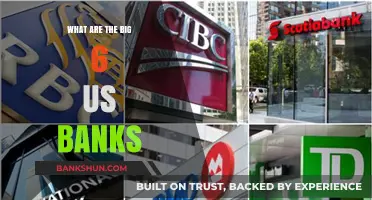 Exploring the Dominance of the Big Six US Banks