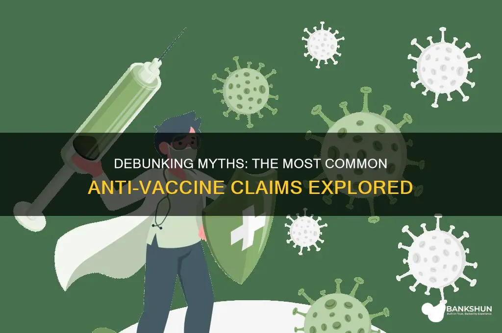 what are the biggest anti vaccine arguments
