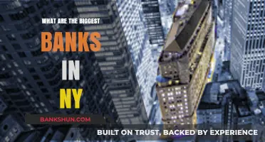 Top New York Banks: A Comprehensive Guide to the Biggest Financial Institutions