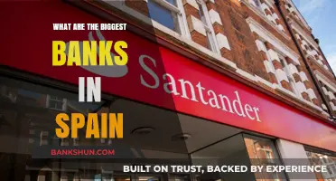 Spain's Top Banks: A Comprehensive Guide to the Largest Financial Institutions