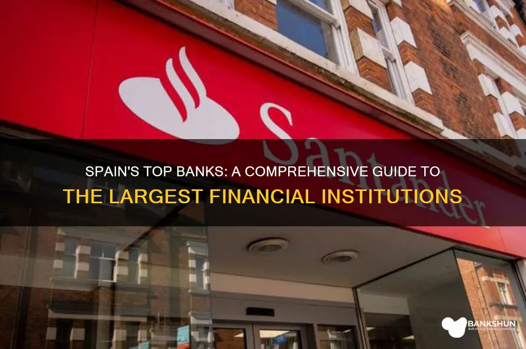 what are the biggest banks in spain