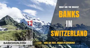 Exploring Switzerland's Largest Banks: A Comprehensive Financial Overview