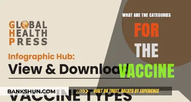 Understanding Vaccine Categories: Types, Purposes, and Their Importance