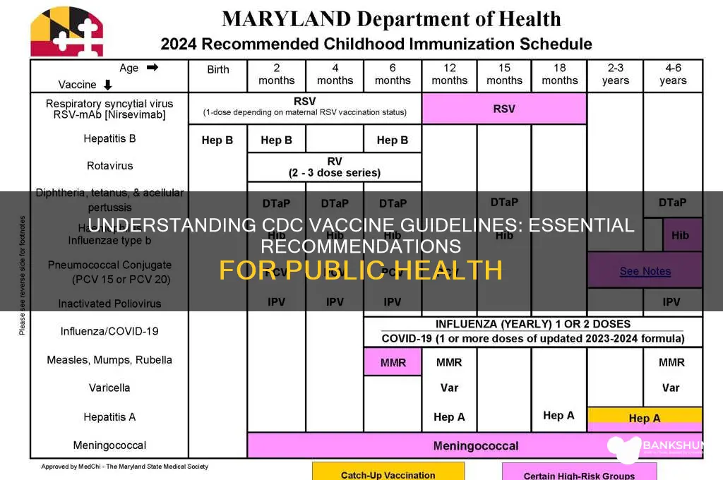 what are the cdc guidelines for vaccines