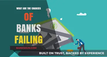 Bank Failure Risks: Assessing the Chances of Financial Collapse
