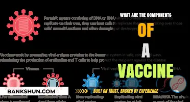 Understanding Vaccine Components: Key Ingredients and Their Roles Explained