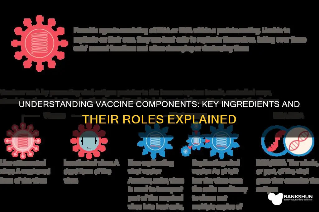 what are the components of a vaccine