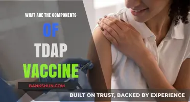 Understanding Tdap Vaccine: Key Components and Their Protective Roles