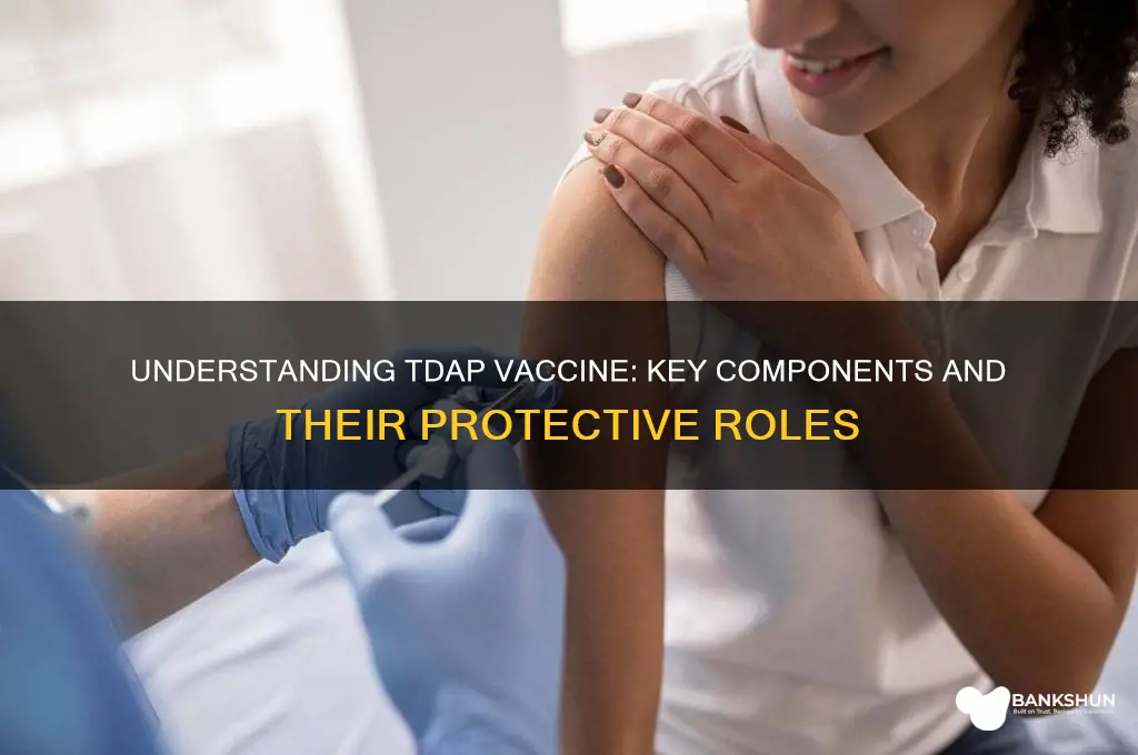 what are the components of tdap vaccine