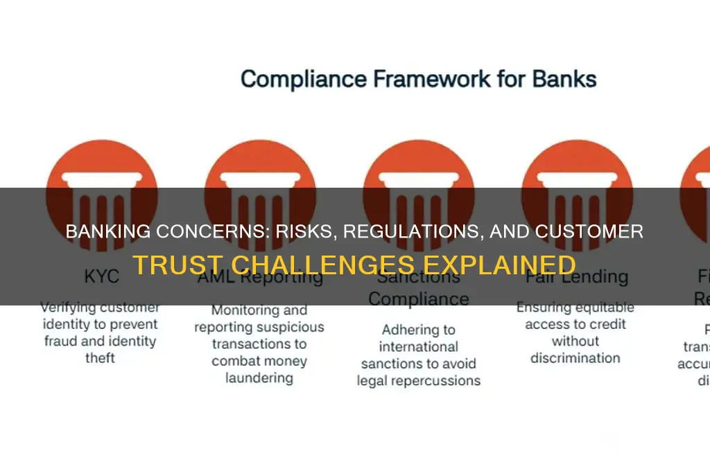 what are the concerns of the bank