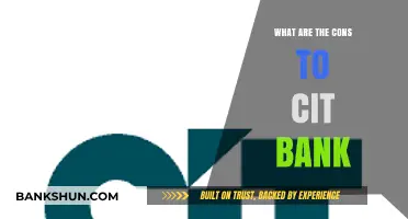 CIT Bank Drawbacks: High Fees, Limited Access, and More Cons