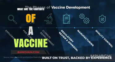 Understanding Vaccine Components: Ingredients, Purpose, and Safety Explained
