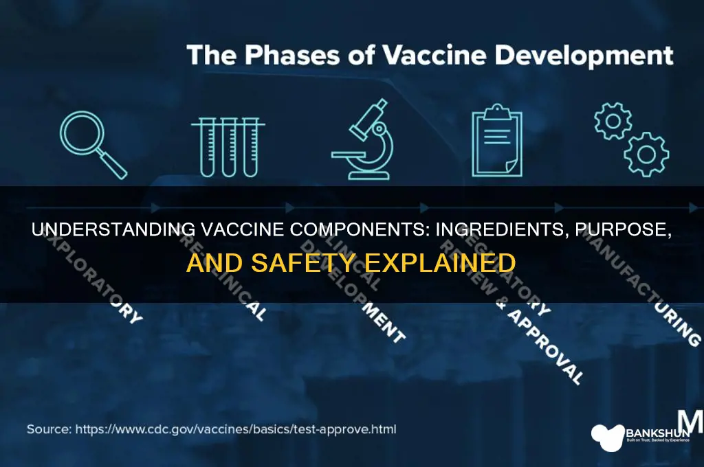 what are the contents of a vaccine