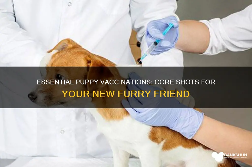 what are the core vaccinations for puppies